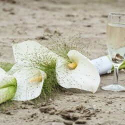 bruidswerk 4 bruidswerk 4